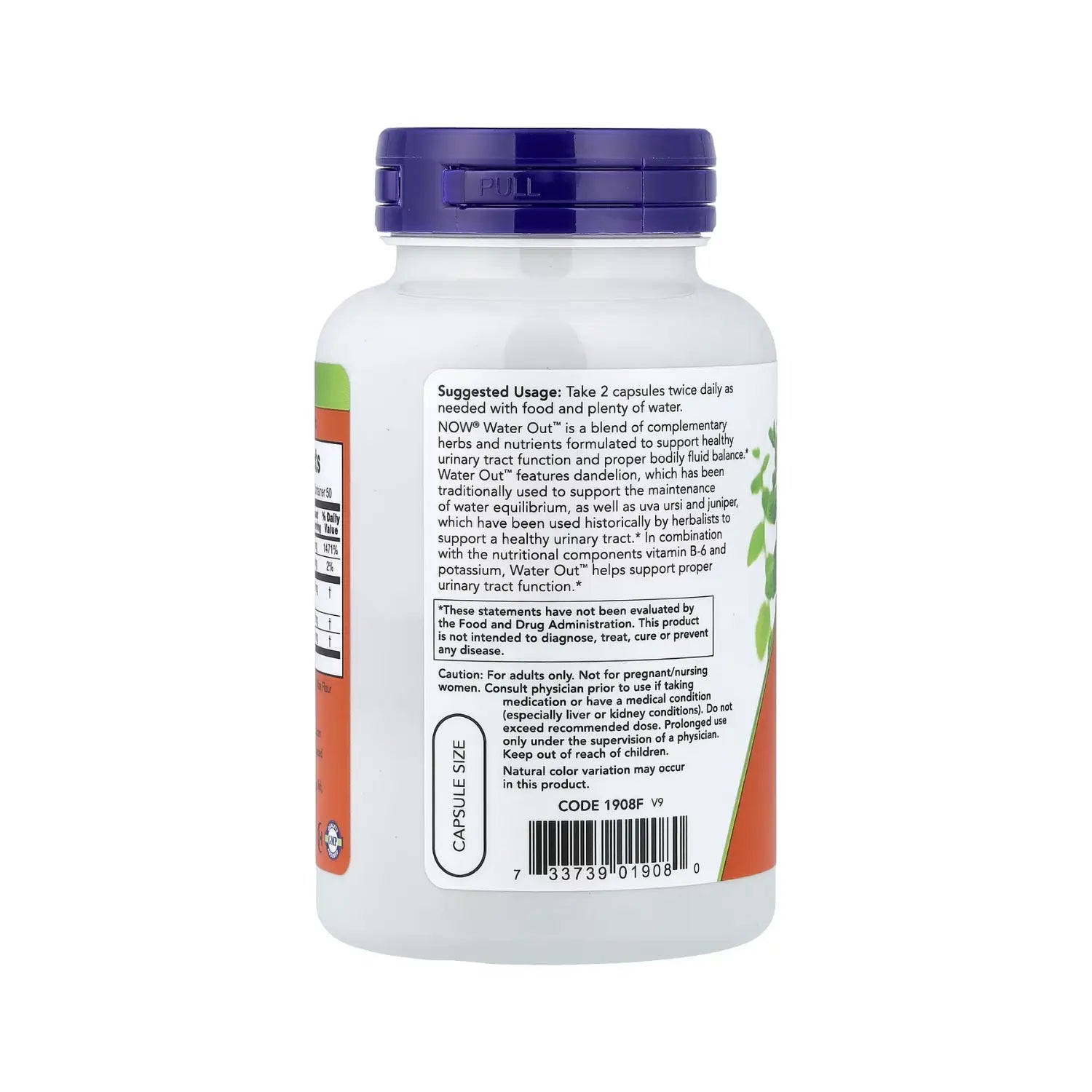 NOW Foods, Eliminación de agua, 100 vegcaps sfn