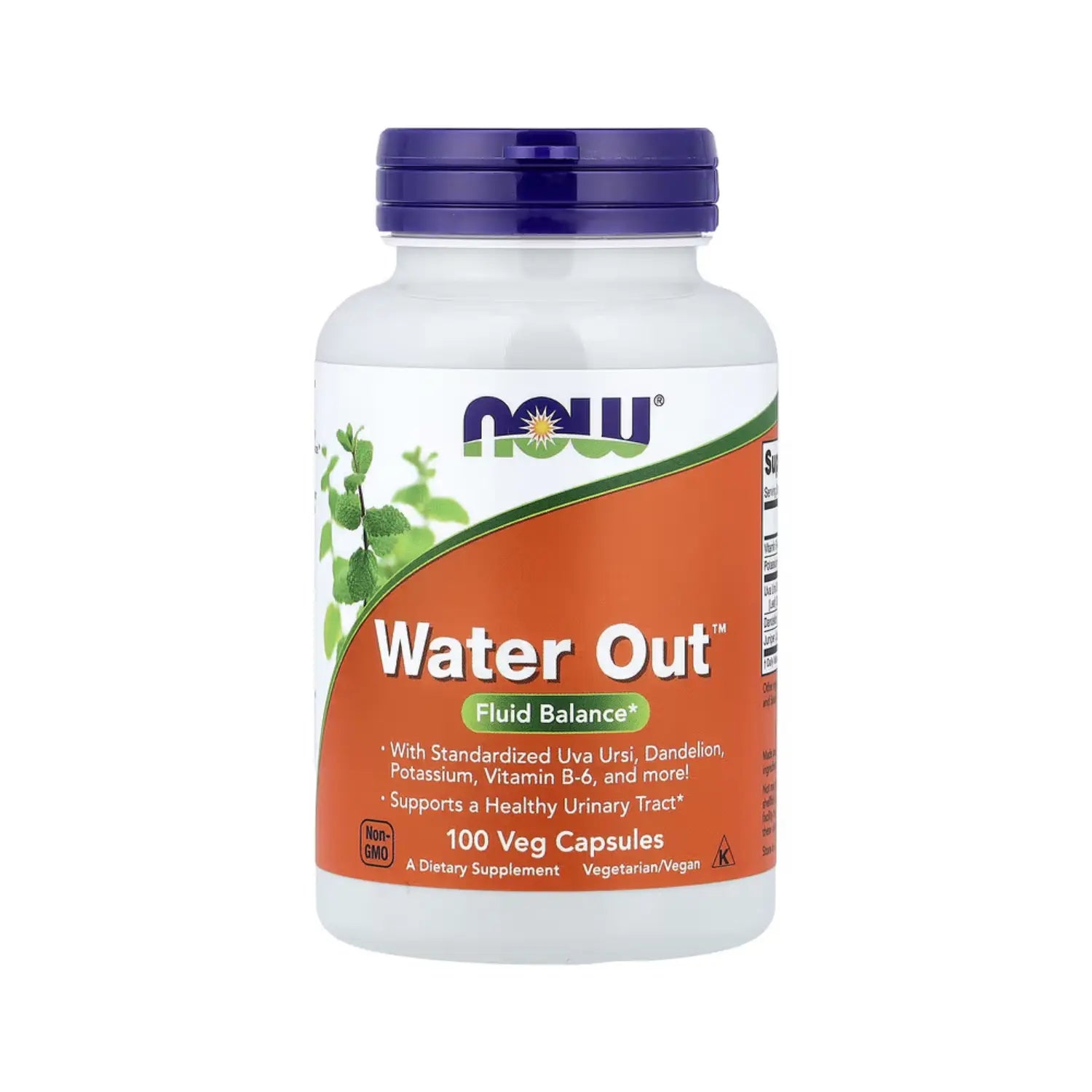 NOW Foods, Eliminación de agua, 100 vegcaps sfn