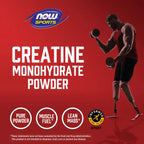 NOW FOODS POLVO DE MONOHIDRATO DE CREATINA 227G SFN