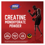 NOW FOODS CREATINE MONOHYDRATE MICRONIZED 500 G