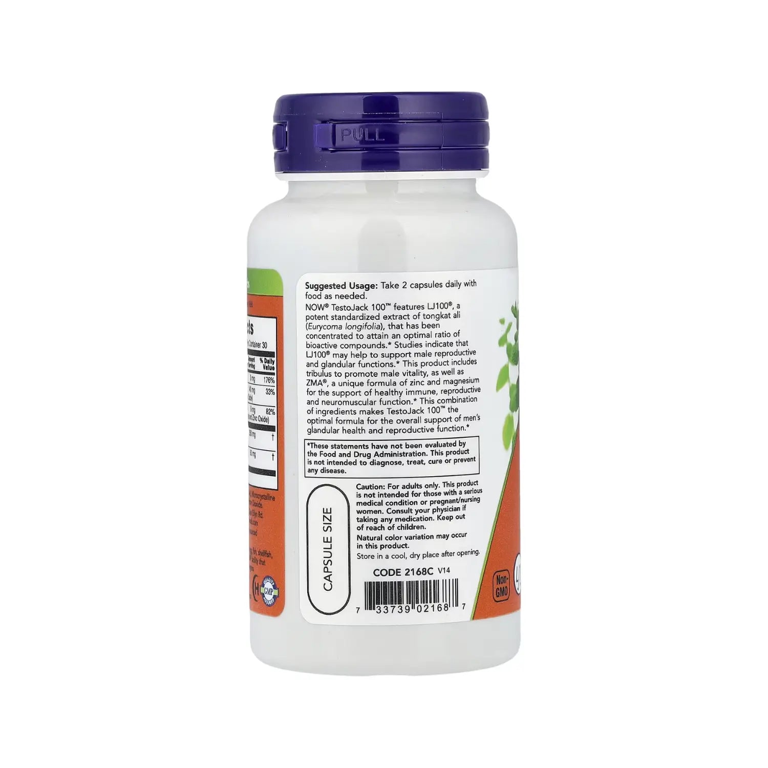 NOW FOODS TEST.JACK 100 VITAMINA B6 Y ZINC 60 VEGCAPS SFN