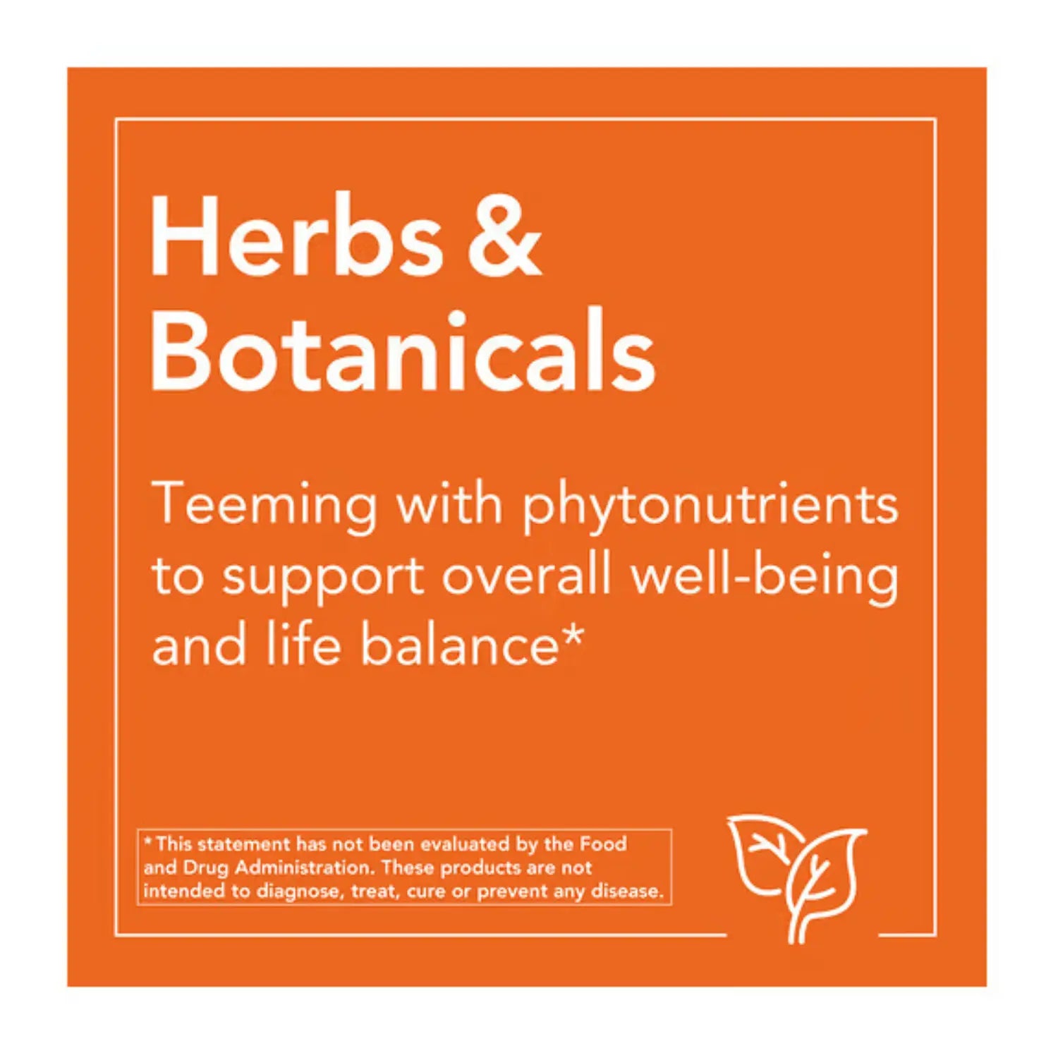 NOW FOODS CHLOROPHYLL 100 mg 90 VCAPS