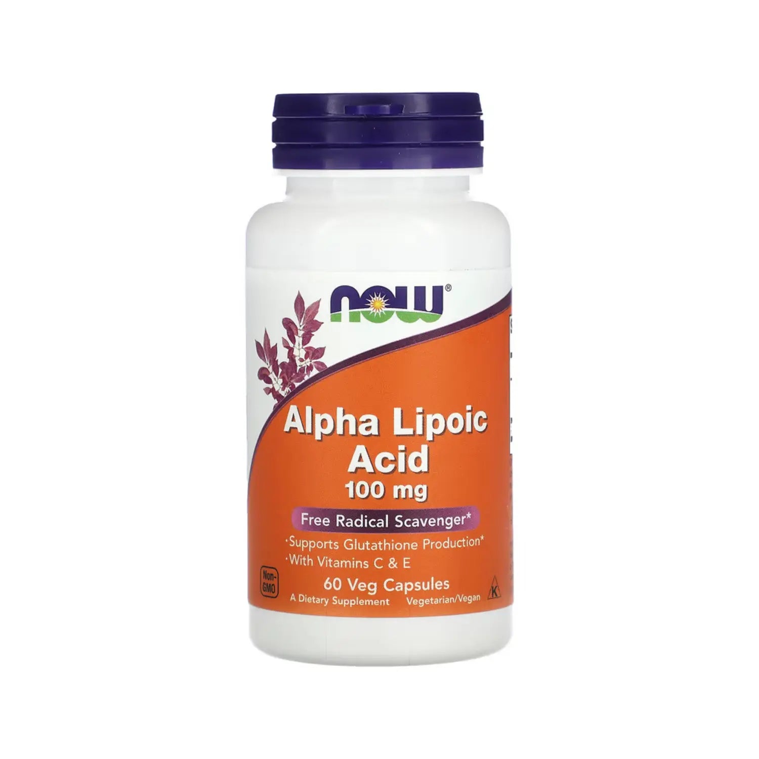 ÁCIDO ALFA LIPOICO 100MG 60CAPS NOW FOODS SFN