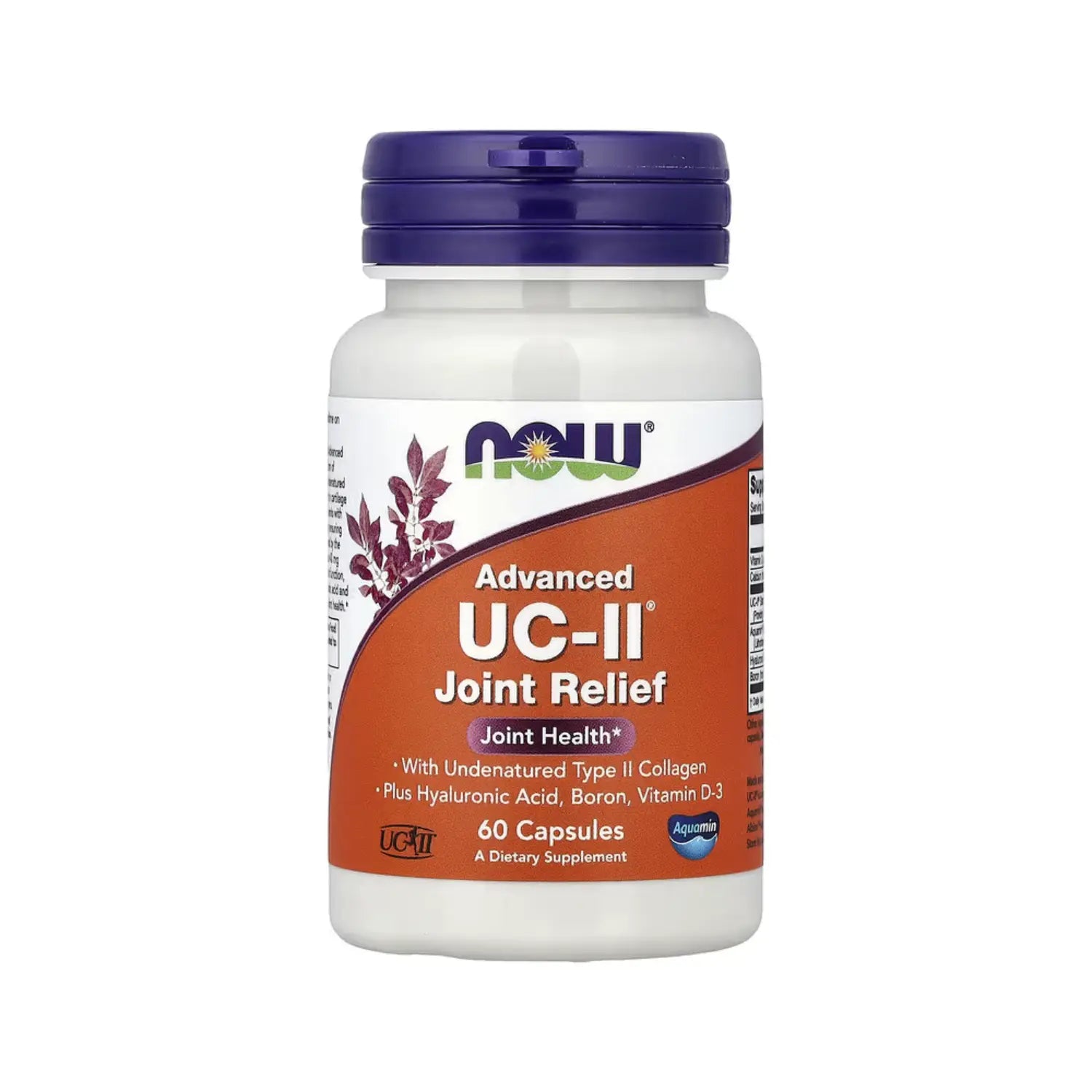 NOW FOODS ADVANCED UC-II (R) JOINT RELIEF 60 VCAPS