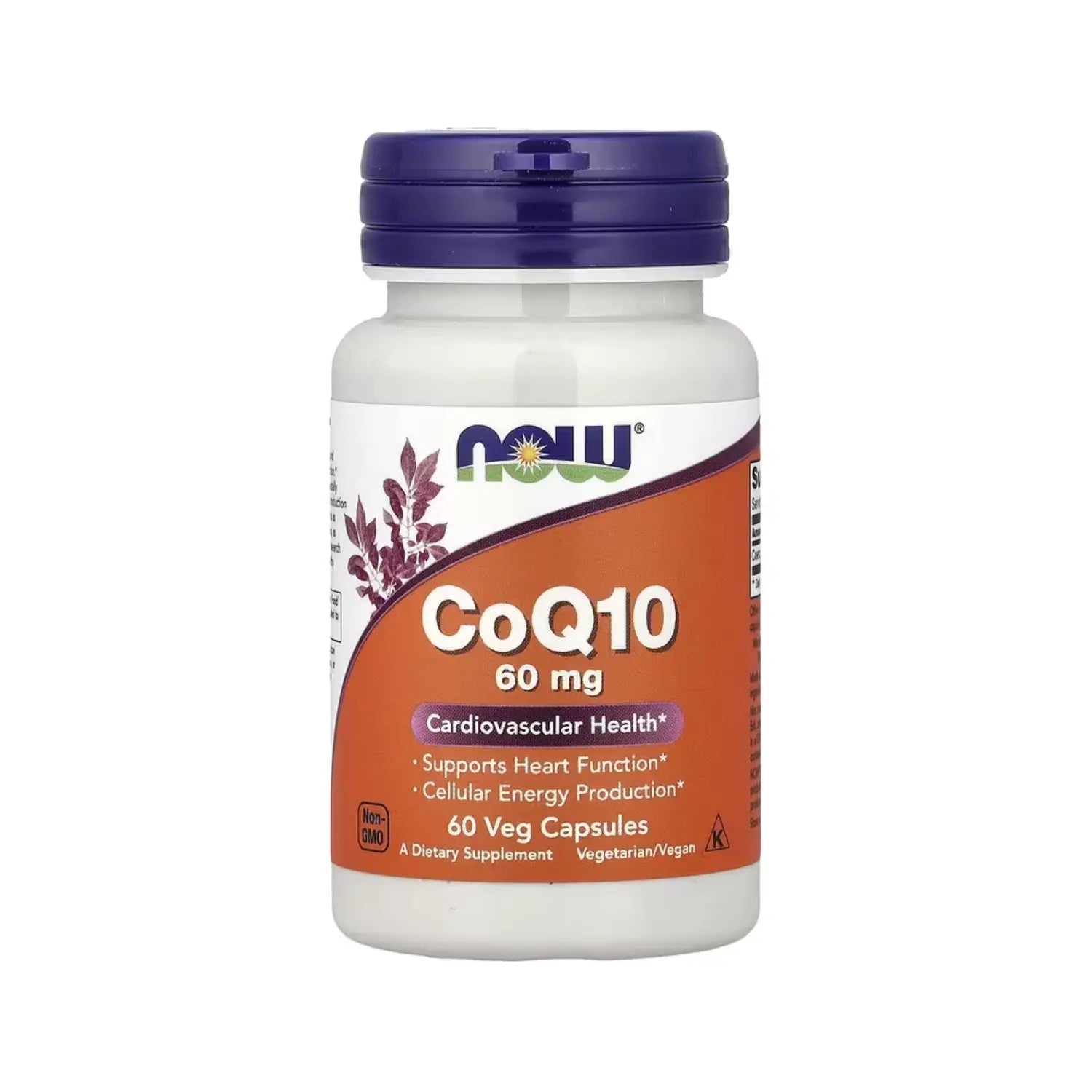 NOW FOODS COQ10 SALUD CARDIOVASCULAR 60MG 60VCAPS SFN