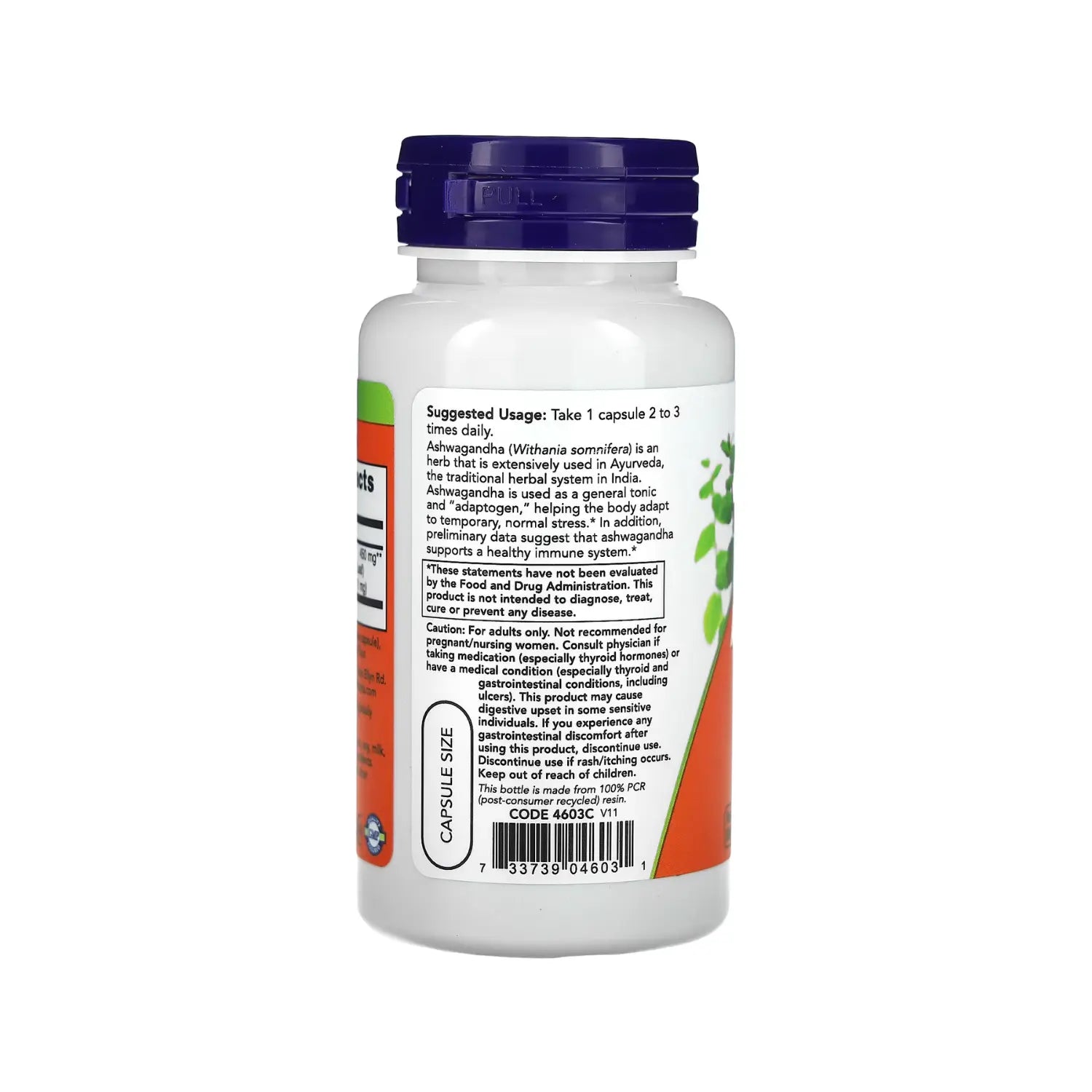 NOW FOODS ASHWANDHA RELAJANTE 450MG 90 VEGCAPS SFN