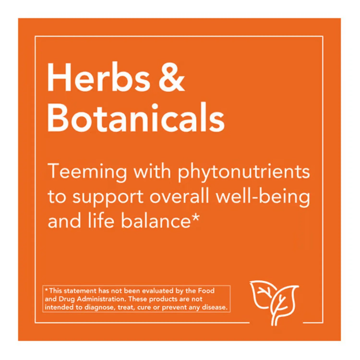 NOW FOODS BLACK COHOSH 80mg 90 VCAPS