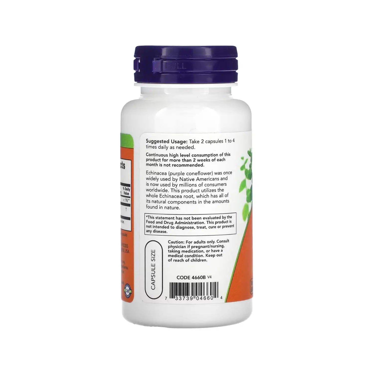 NOW FOODS EQUINACEA APOYO AL SISTEMA INMUNE 100CAP 400MG SFN