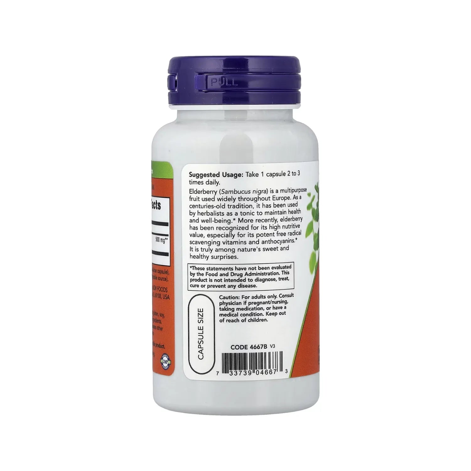 NOW FOODS, BAYA DE SAÚCO, 500 MG, 60 CÁPSULAS VEGETALES SFN