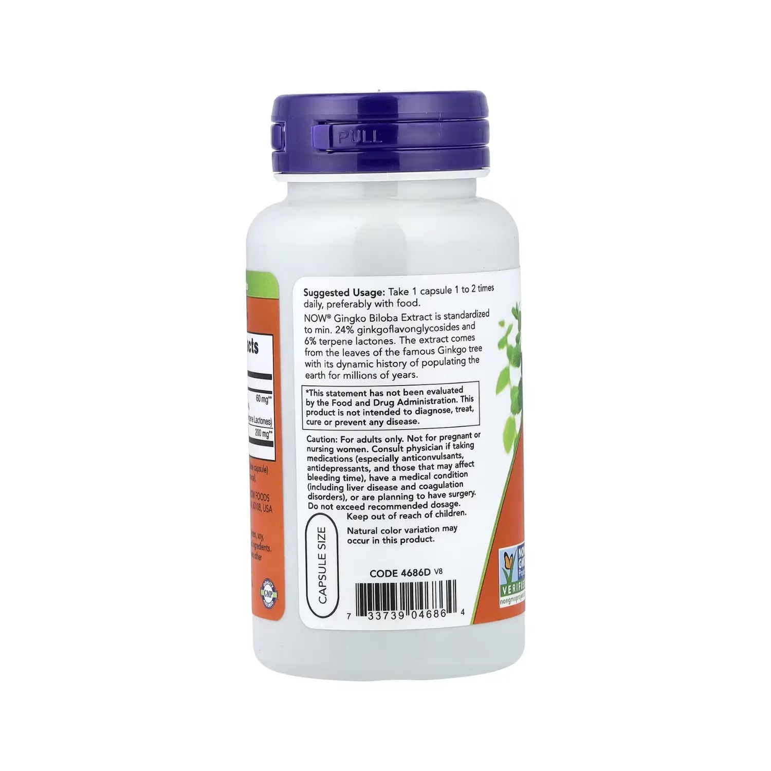 NOW Foods, Ginkgo biloba, 60 mg, 60 vegcaps sfn