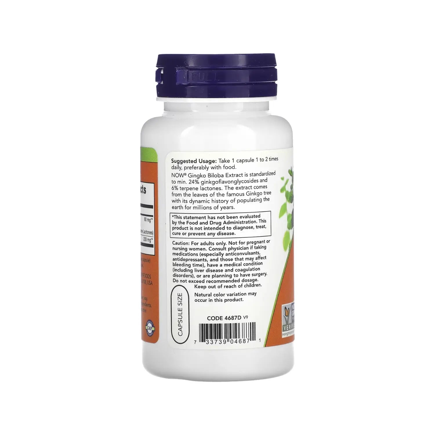 NOW Foods, Ginkgo biloba, 60 mg, 120 cápsulas vegetales sfn