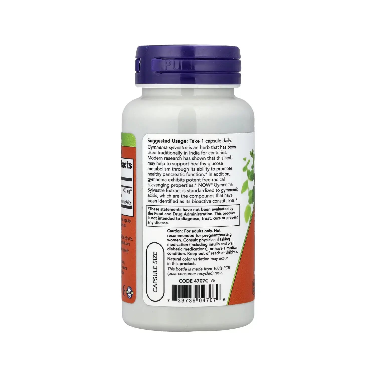 NOW FOODS GYMNEMA SYLVESTRE 400 MG 90 CAPSULAS VEGANAS SFN