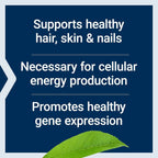 Life Extension, Biotina 600 Mcg, Cabello Y Uñas 100 Cápsulas