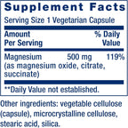 LIFE EXTENSION MAGNESIO 500 MG 100 VEGCAPS SFN