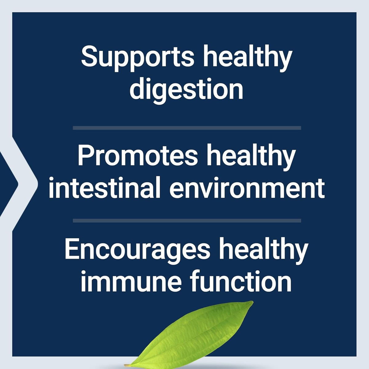 Life Extension Bifido GI Balance 60 Cápsulas Vegetales