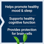 Life Extension D,L-Fenilalanina 500 mg 100 Cápsulas Vegetales