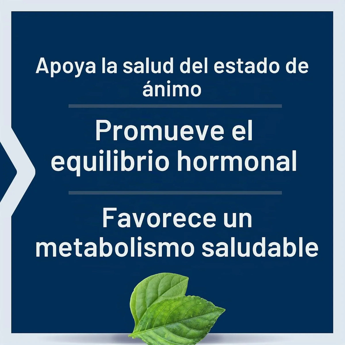 Life Extension Cápsulas De Inositol 1000 Mg 360 Cápsulas