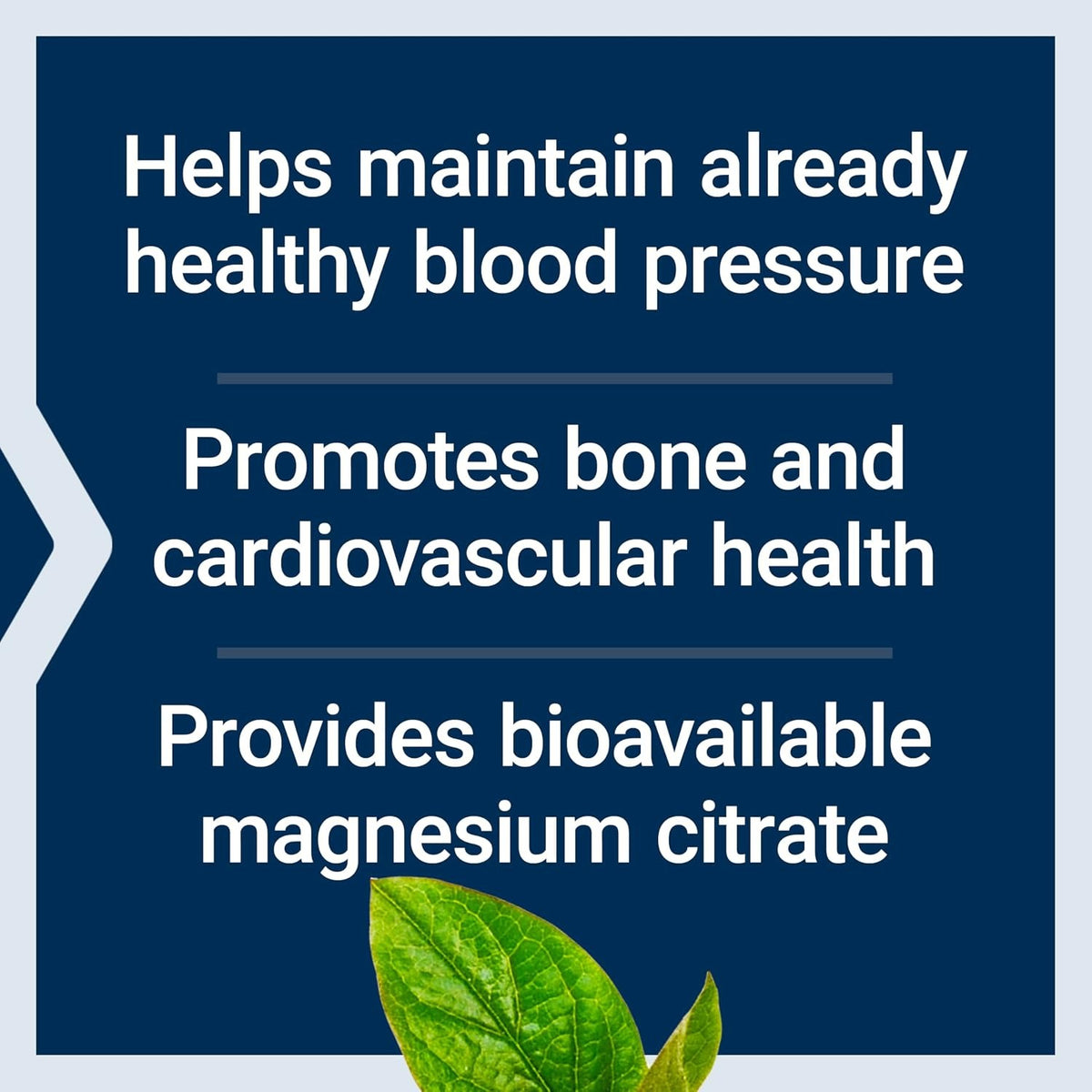 Life Extension Magnesio (Citrato) 100 mg 100 Cápsulas Vegetales