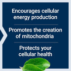 Life Extension Mitochondrial Energy Optimizer con PQQ 120 Cápsulas Vegetales