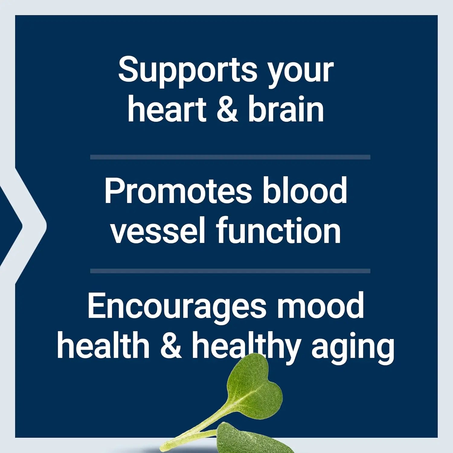 LIFE EXTENSION SUPER OMEGA-3, 60 SOFTCAPS SFN