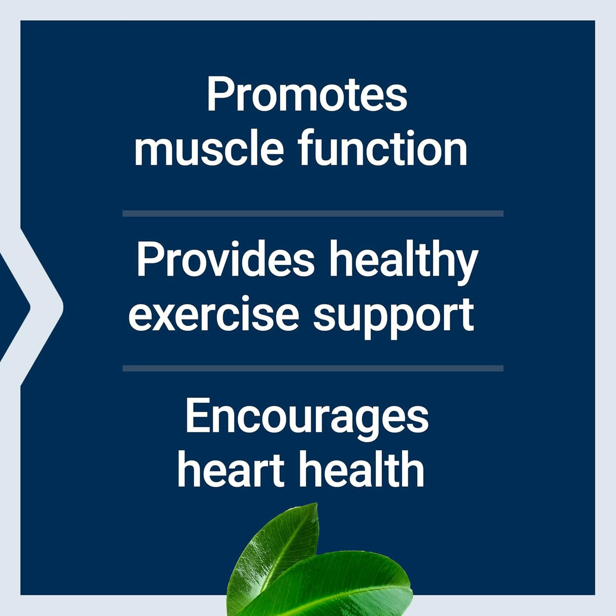 Life Extension Super Carnosine 500 mg 60 Cápsulas Vegetales