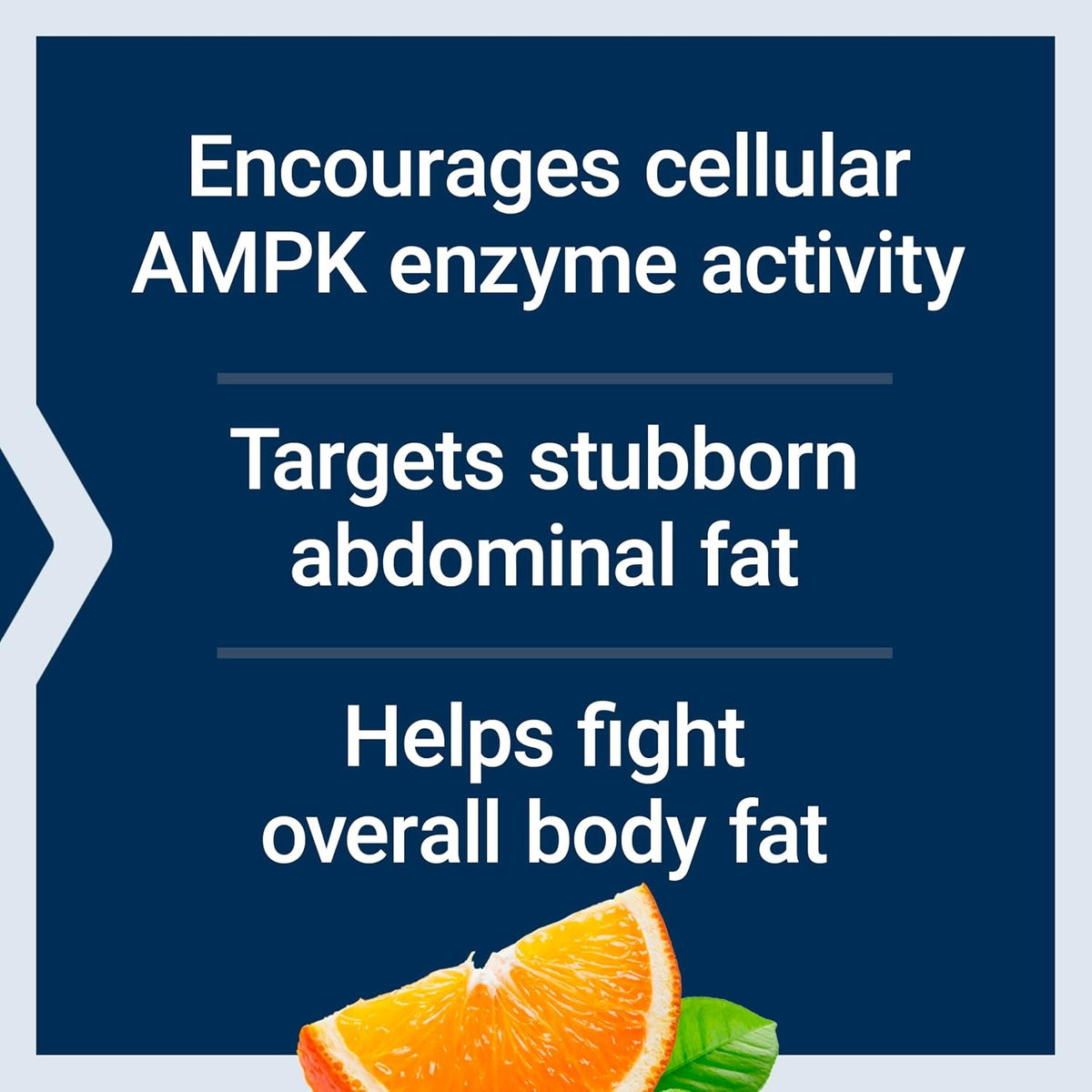 Life Extension Activador Metabólico AMPK 30 Tabletas Vegetales