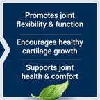 Life Extension NT2 Collagen 40 mg 60 Cápsulas Pequeñas