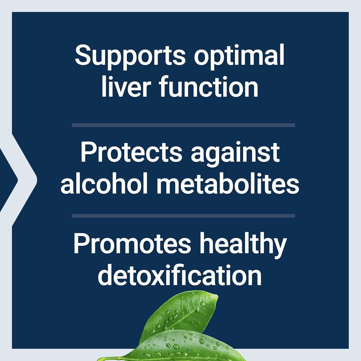 Life Extension Antialcohol Complex 60 Cápsulas