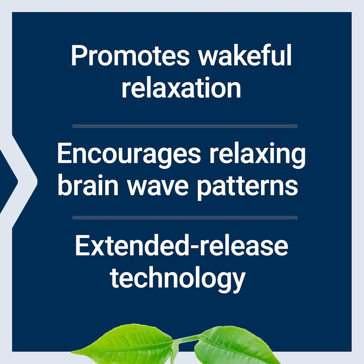 Life Extension Theanine XR Stress Relief 30 Tabletas