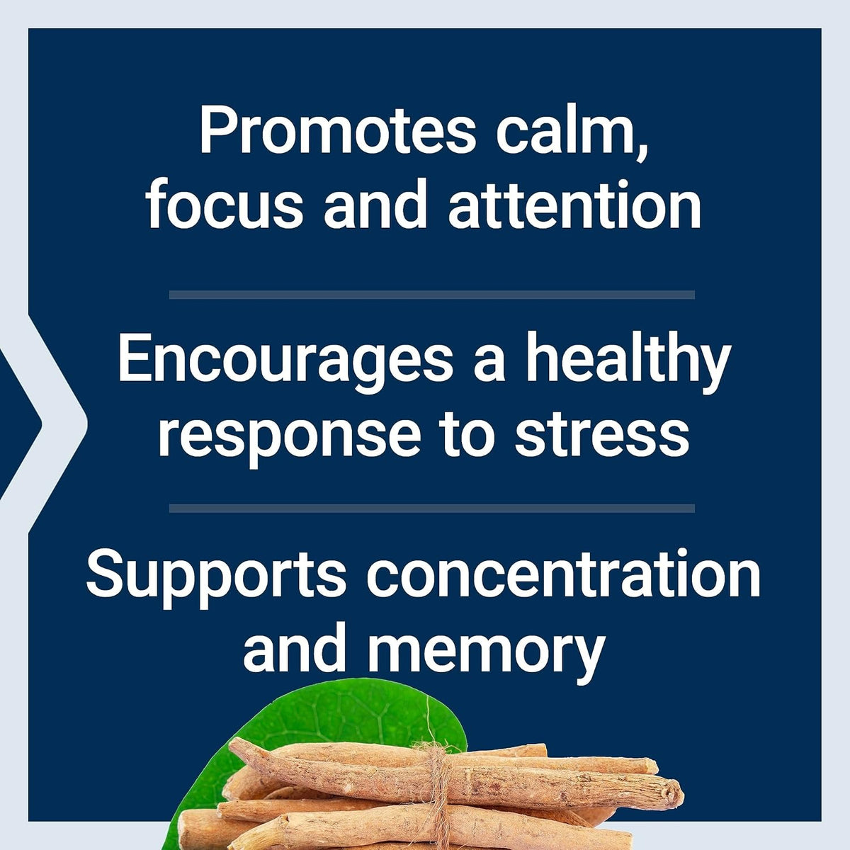 Life Extension Ashwagandha Plus Calm & Focus 60 Cápsulas Vegetales