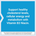 Life Extension Vitamina B3 Niacina 500 mg 100 Cápsulas