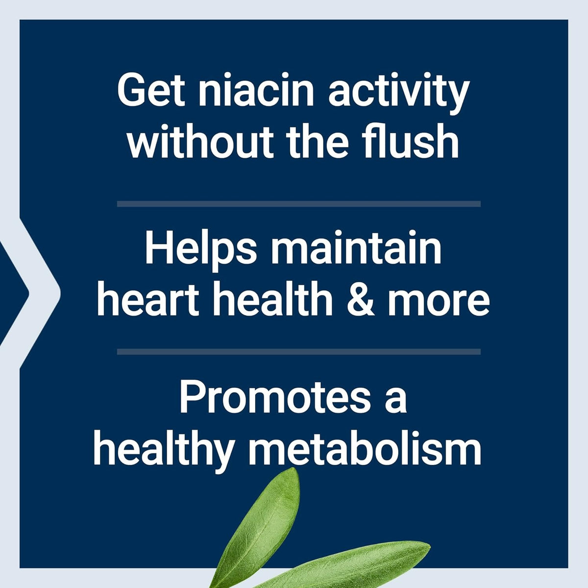 Life Extension Niacina Metabolismo y Cardiovascular 100 Cápsulas