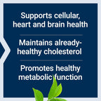 Life Extension Mega Extracto de Té Verde Descafeinado 725 mg 100 Cápsulas Vegetales