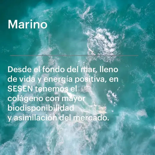 Sesen Marino | Colágeno Hidrolizado con Péptidos Bioactivos | 240 g | Piel y Articulaciones | Suplemento Alimenticio
