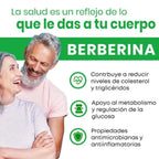 All Nature Berberina 60 Capsulas 600mg