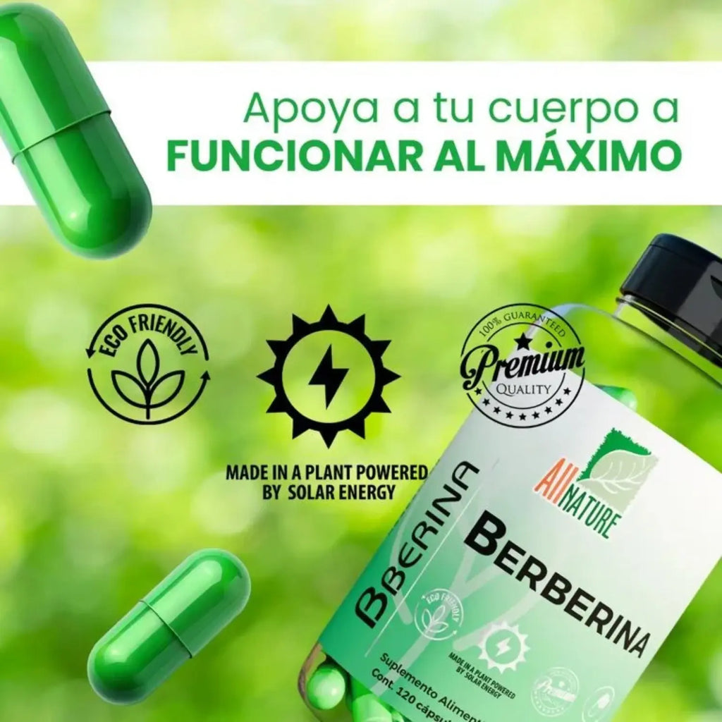 All Nature Berberina 60 Capsulas 600mg