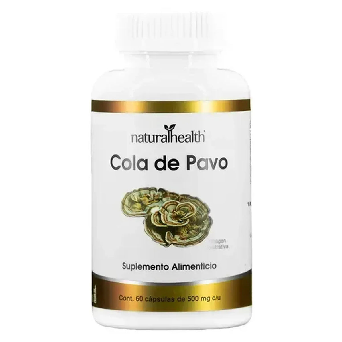 NATURAL HEALTH | Cola de Pavo Trametes Versicolor | 60 Cápsulas de 500 mg | Apoyo al Sistema Inmunológico y Bienestar Digestivo
