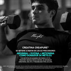 Flairfit Creatina Monohidratada Creapure 500G Sfn