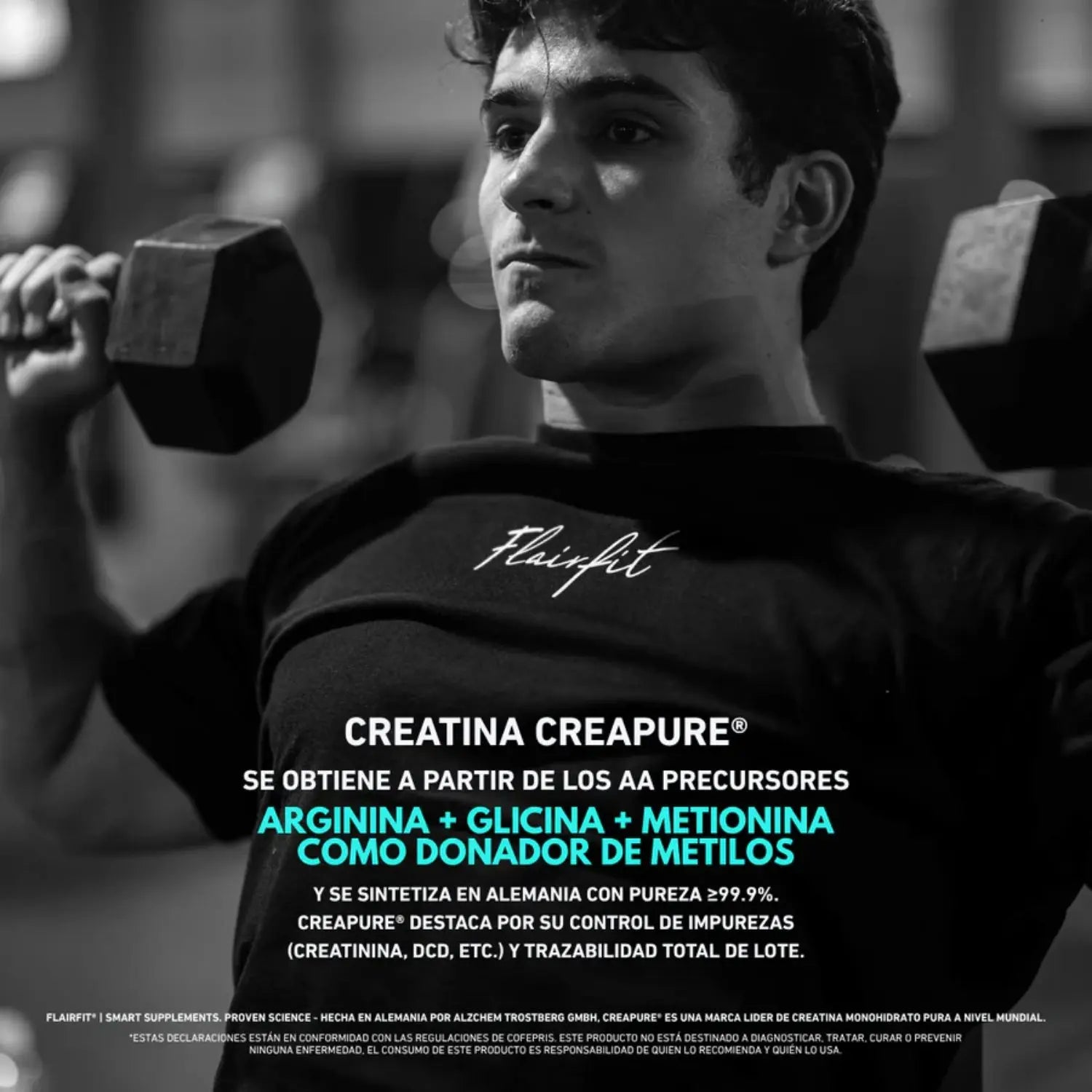 Flairfit Creatina Monohidratada Creapure 500G Sfn