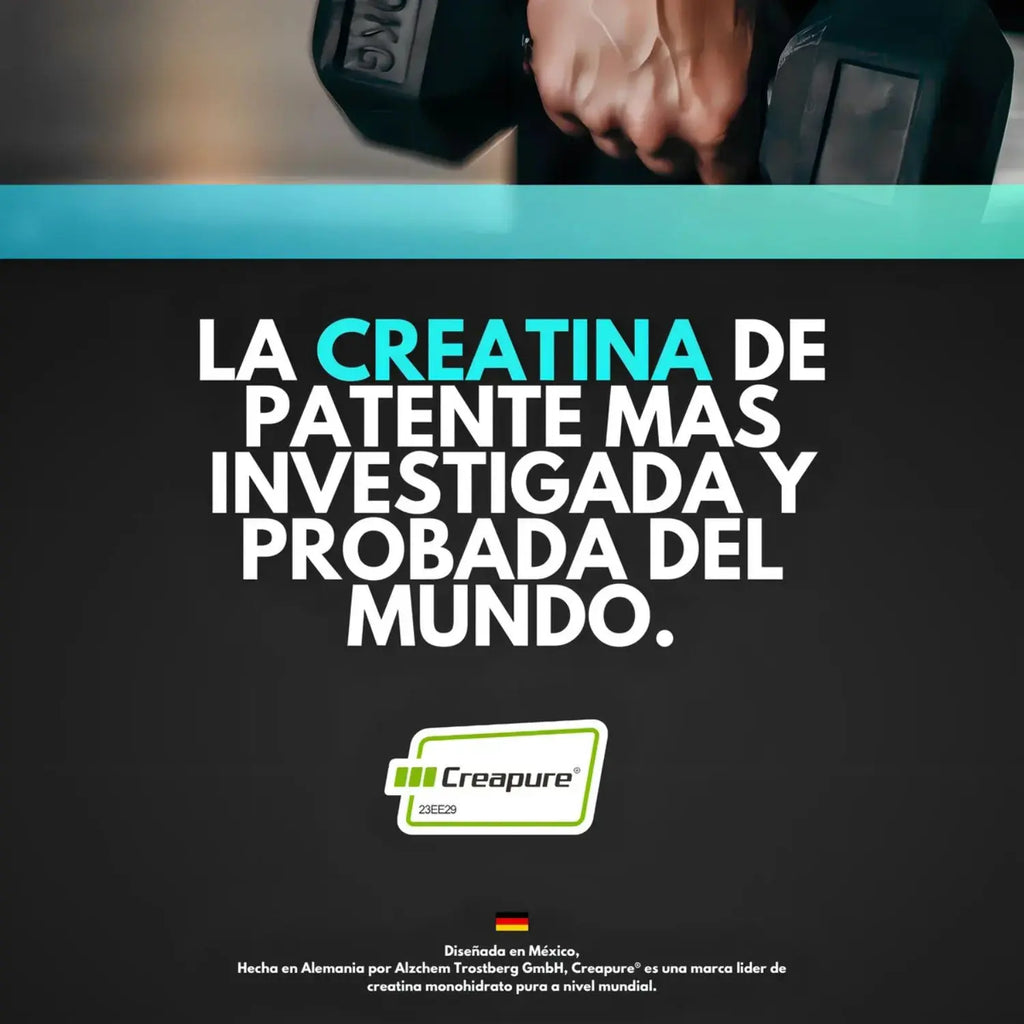 Flairfit Creatina Monohidratada Creapure 500G Sfn