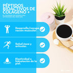 Flairfit® Péptidos Bioactivos Colágeno Hidrolizado 500G Sfn