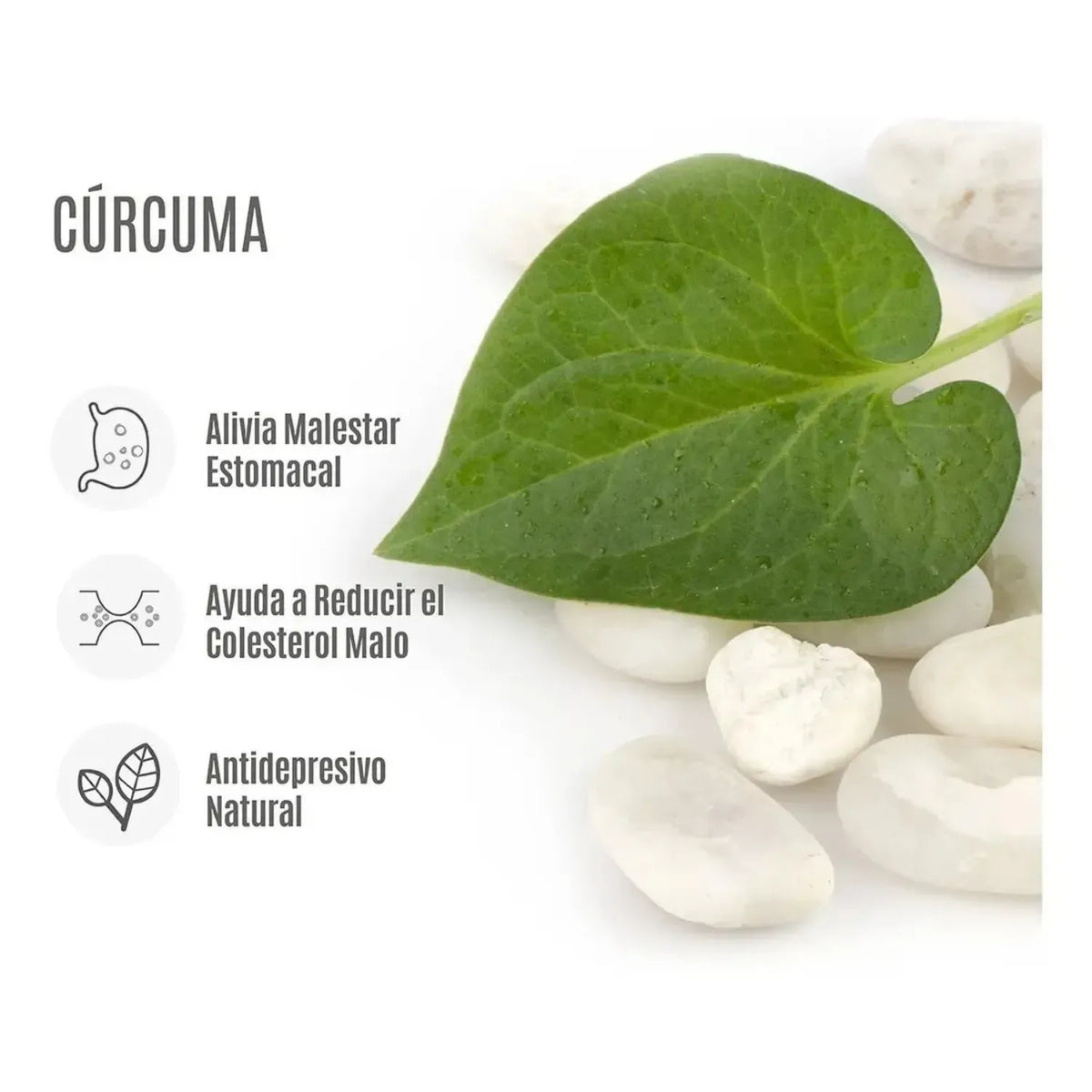 Naturelab Cúrcuma + Vitamina C 480mg 60 Capsulas