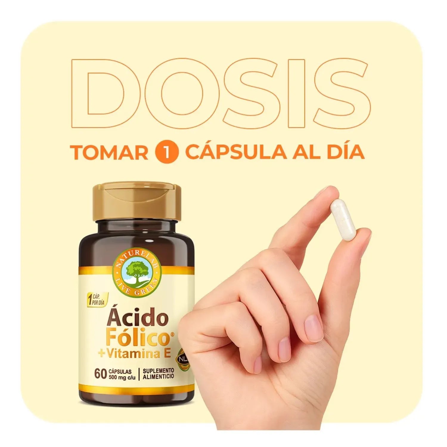 NATURELAB ÁCIDO FÓLICO 500MG 60 CAPS SFN
