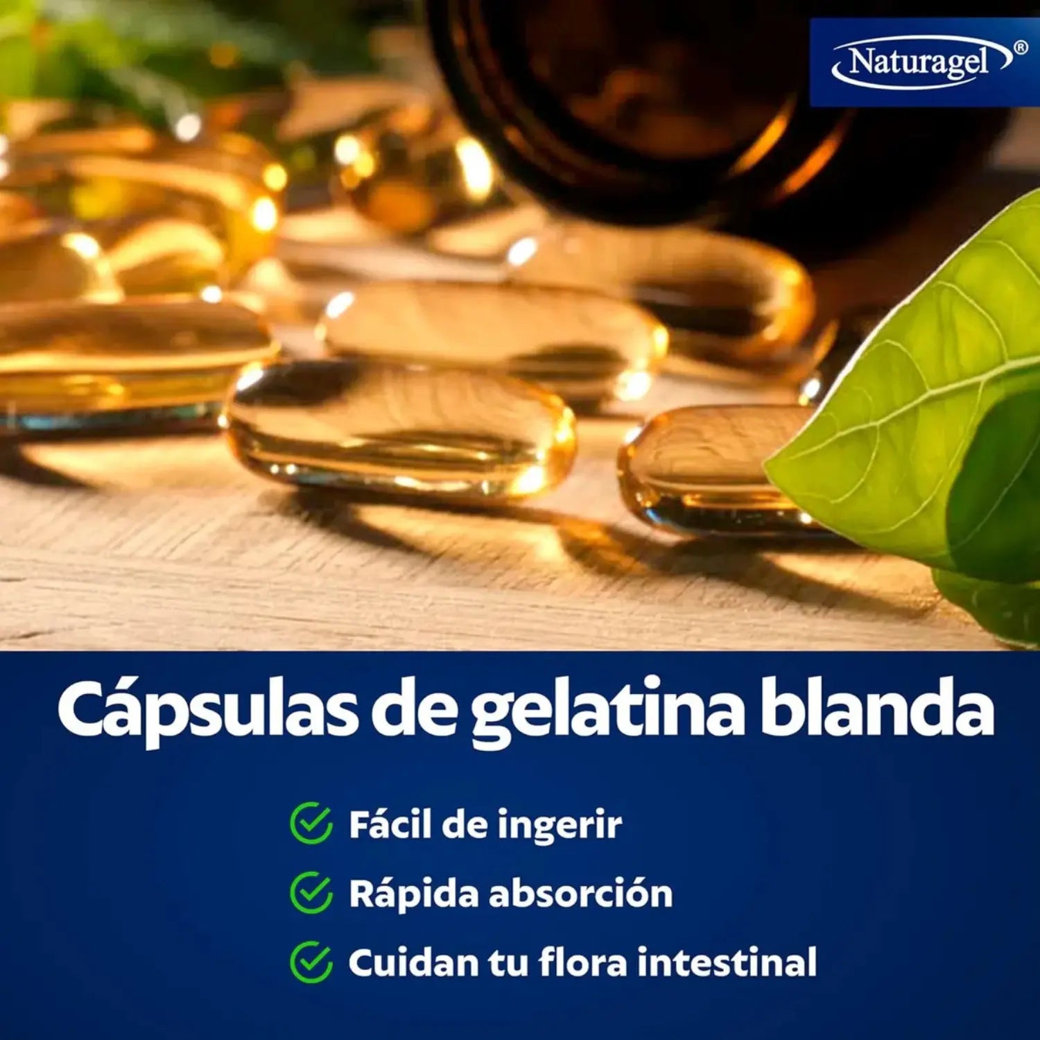 Naturagel Acido Glutámico, Vitamina B, Zinc, Omega 3, 30 softg