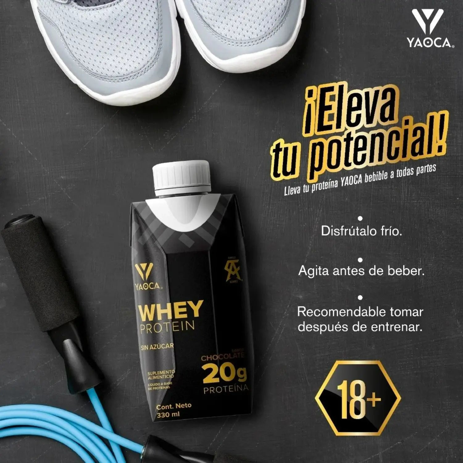 YAOCA Whey Protein Bebible Chocolate 12pack