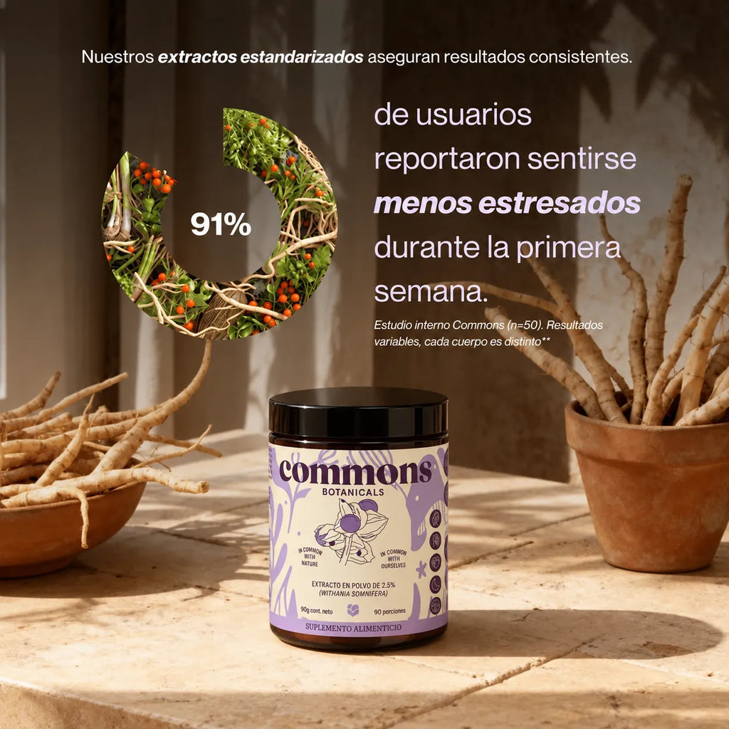 Commons Adaptógeno Ashwagandha, 90G SFN