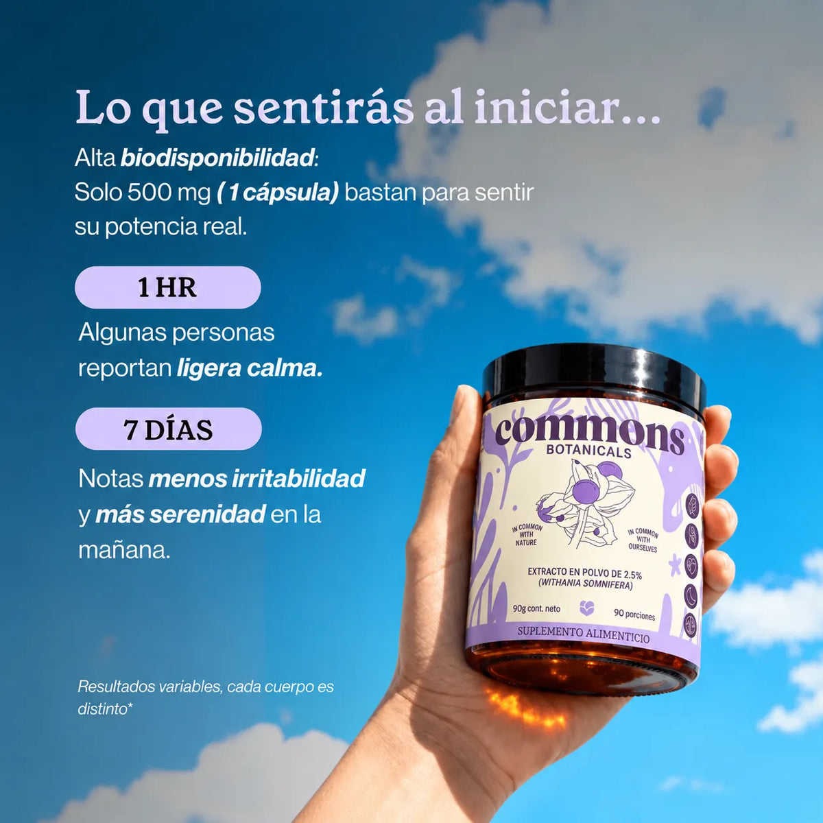 Commons Adaptógeno Ashwagandha, 90G SFN