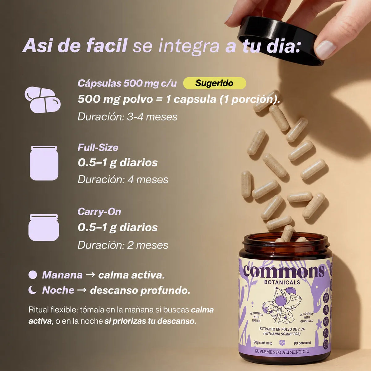 Commons Adaptógeno Ashwagandha, 90G SFN