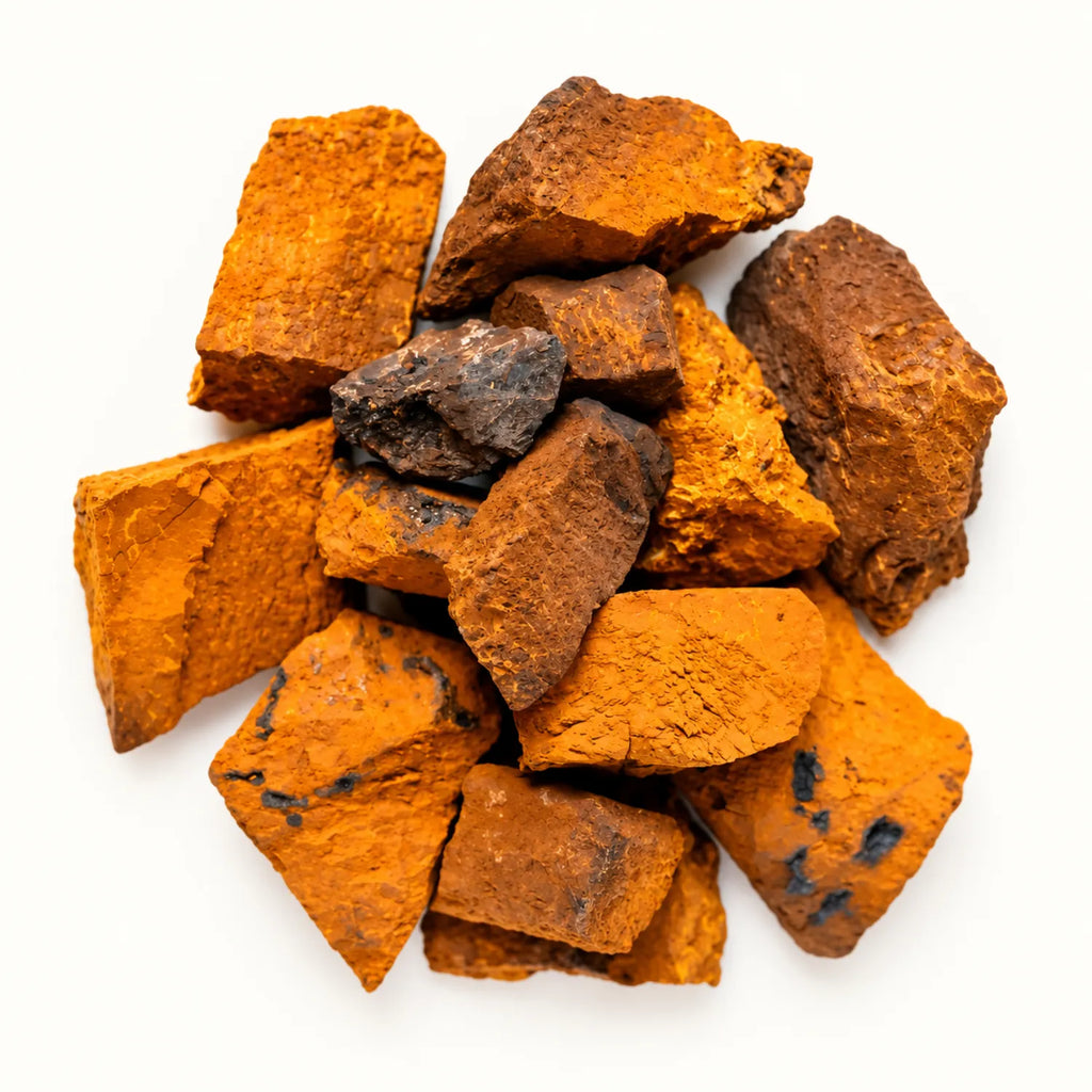Commons Adaptógeno Hongo Chaga 100 G