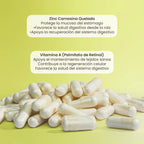 Matter Pepcil-gl Zinc-carnosina Quelado 60 Caps Sfn